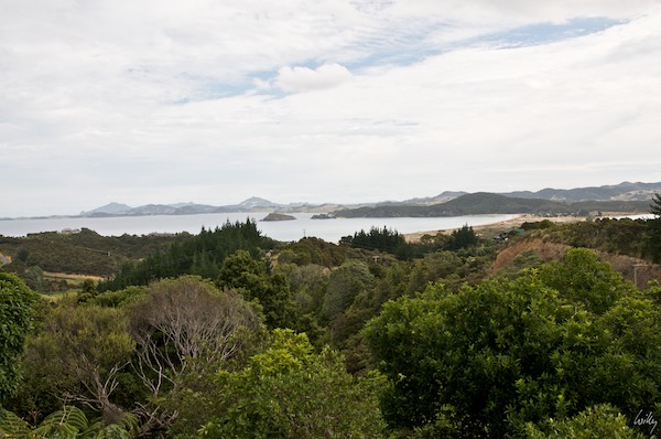 NewZealand 09 10  008